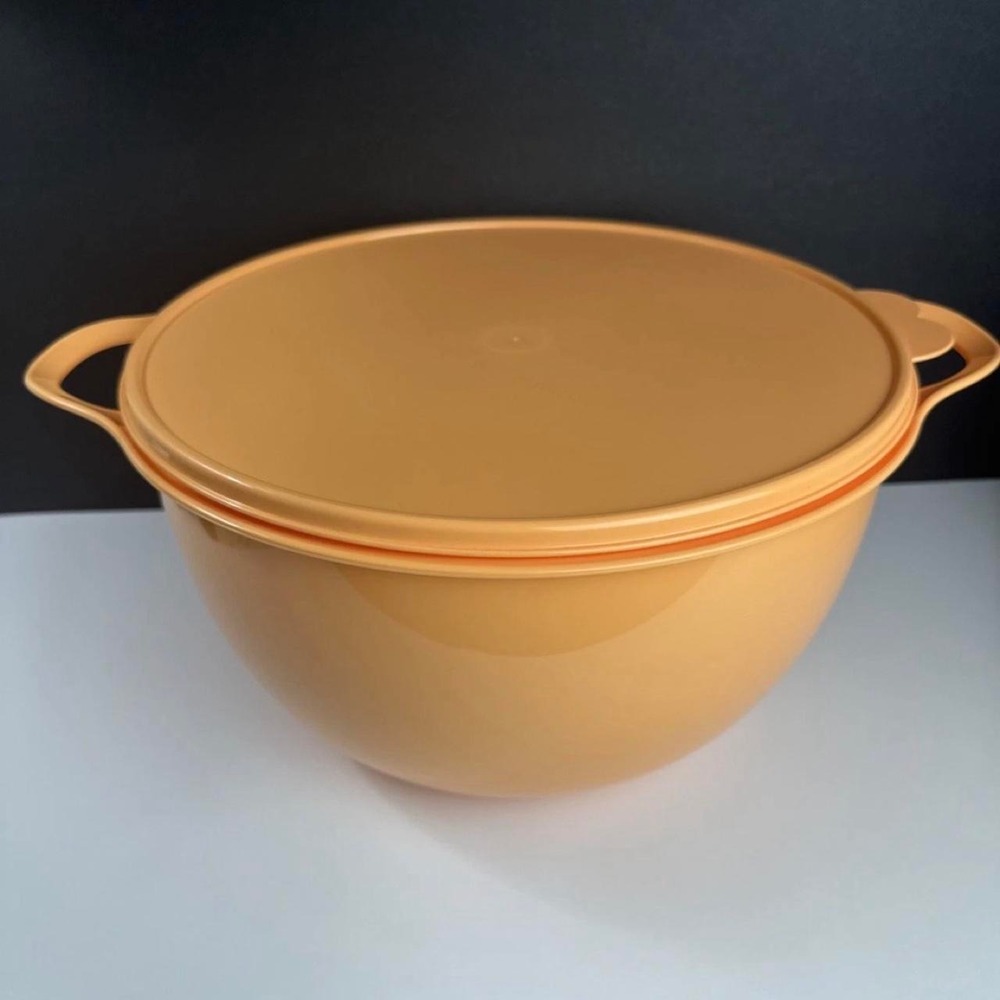 Tupperware New Thatsa Bowl 42 Cup 10L Double Handle with Seal